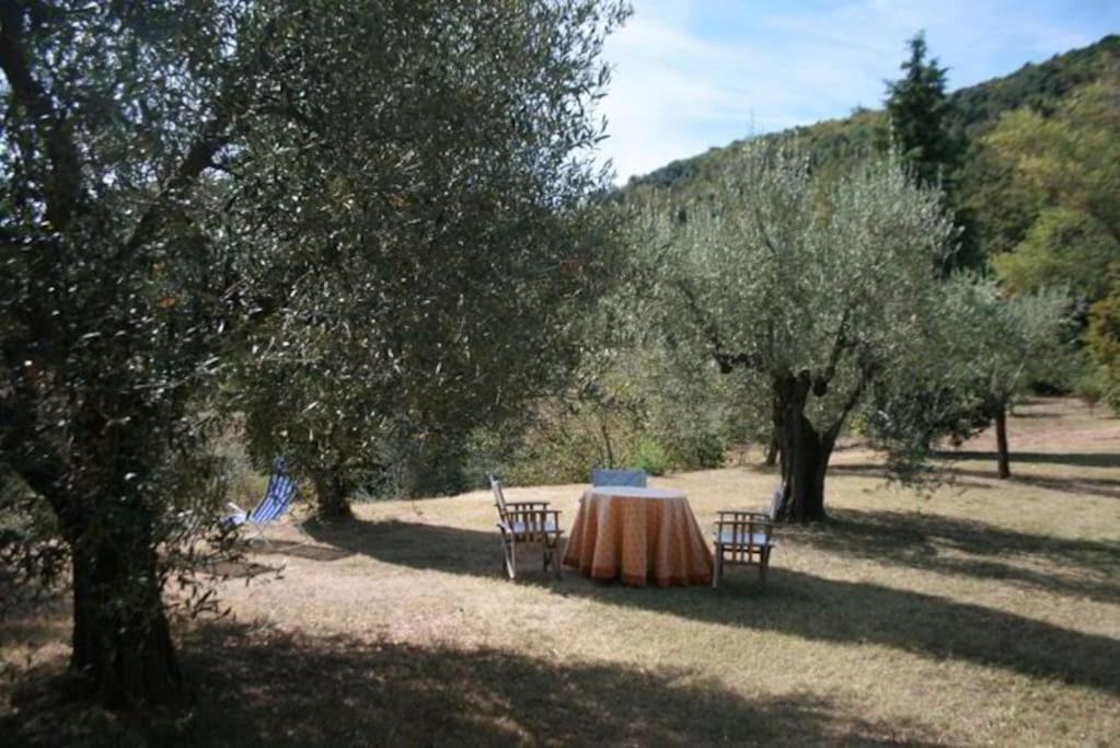 Podere Gli Oppi Toscana Villa Petroio Exterior photo
